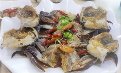 일산 파주지역 간장게장, 꽃게요리 맛집을 찾아서