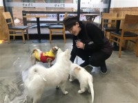어르신들이 운영하는 국내 최초 공공 애견카페