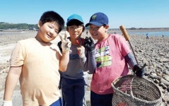 [진로교육 - 생태계를 다시 쓰다│① 인천연평초등학교]  어민·해군·지역사회 도움으로 해양생태 진로교육