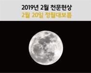 함께 즐기는 2019년 안산정월대보름달집축제