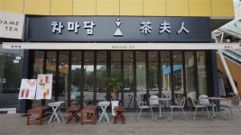 커피가 물린다면 차의 신세계 ‘차마담’으로~