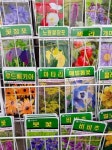 다양한 씨앗과 모종 사기 좋은 곳