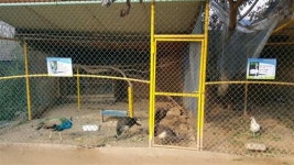 [우리 동네 주말농장 텃밭 분양 안내]주말엔 텃밭에서 살어리랏다!