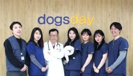 반려견 미용 잘 하는 가장 쉽고 빠른 방법