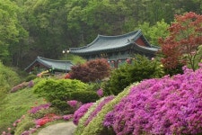[분당·용인 지역 템플스테이]산사에서 만나는 특별한 휴식