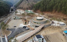 금강송 숲길 따라 힐링여행 떠나요