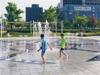 [일산 파주지역 공원 물놀이형 수경시설 개장]“엄빠, 동네 공원으로 물놀이하러 가요~”
