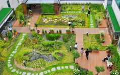 중랑구청에 녹색바람 분다