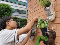 [강서고등학교 업싸이클링 활동]“버리는 신발에서 식물이 쑥쑥 자라요”