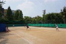 [분당 테니스 동호회, ‘하얀마을 테니스 초보 모임’]무더위보다 뜨거운 테니스 열정