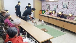 [치매국가책임제 내실화│② 비약물적 접근 강화 시급] 약물 접근만으로 한계 뚜렷, 부작용도 우려