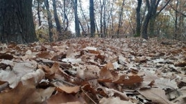 성남 누비길 코스