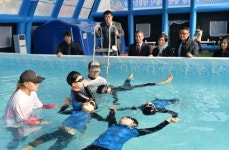 [한국최초 동계 생존수영 훈련 | 대전시 남선 초교] 한겨울 에어돔에서 전교생 맞춤형 생존수영 교육