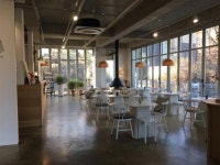 우리 동네 애견 동반 카페와 식당을 소개해요