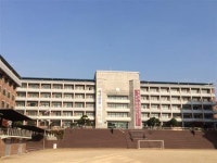 강동 지역 대표 고등학교 탐방 - 한영고등학교