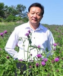 [나는 농부다│심재석 임실생약영농조합 대표] 가시엉겅퀴 재배 표준화해 농가소득
