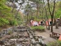 코로나 시대 피서법, 캠핑장 & 자연휴양림