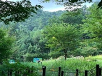 산림욕 즐기기 좋은 안양지역 명산 소개!