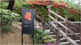 비대면으로 걸어보는 가을 도시 숲길