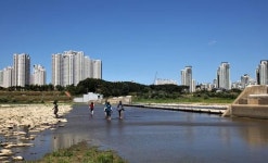 [보 개방 후 수질 악화? 수질지표 대부분 개선] 녹조범벅이던 곰나루에 맑은 물이 흐른다