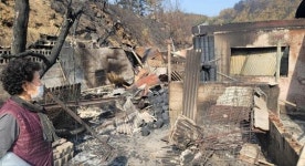 물난리 악몽 생생한데 산불에 보금자리 잃어