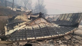 역대 최대 피해 동해안산불 복구 시동