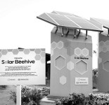 태양광 벌집으로 위기의 꿀벌 살린다