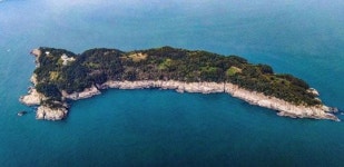 [동백섬 지심도] 일제 군사시설 고스란히 … 지심도를 아시나요?