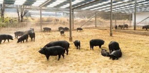 햇빛과 바람이 악취를 없애줍니다