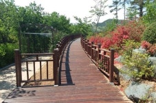고령층 관광정책 시작단계 … 꿈꾸는 여행자부터 열린 관광지까지