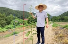구미 나노테크 나노헬스케어 일라이트 함유 친환경 비료 ‘그린쏘일닥터’ 농작물재배 큰 도움