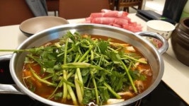 대치동 맛집 ‘구좌리얼크니손칼국수’