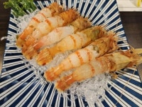 고래고기 맛집 ‘고래향’