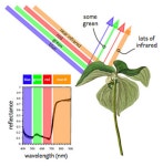 태양광 비밀 푼 ‘비닐하우스용 필름’ 상용화 성공