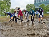 서울 파크골프장 1홀당 이용자 1만2000명