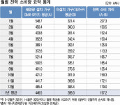 한일종합가구&권만희태양광발전소 | 태양광 설치가구 전력소비량 더 많다