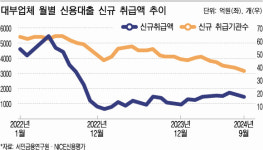 자산 100억 이상 대부업체 264개…신규 신용대출 37곳에 그쳐