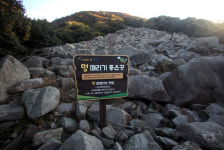 생일도 가면 날마다 생일… 누구나 다시 태어나는 섬