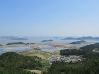 [백섬백길 걷기여행 1⑮ 비금도 그림산길] “고종황제보다 먼저 샴페인 마신 섬 사람들”
