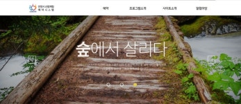 숲 체험 프로그램, 자연 속에서 찾는 건강과 힐링