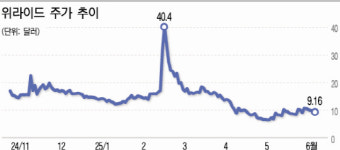 우버·엔비디아가 선택한 위라이드
