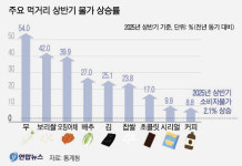 폭염·중동전쟁에 물가관리 비상…농축수산물 가격 급등 조짐