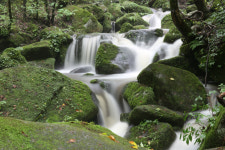 쏟아지는 빗줄기 뚫고... 사진에 대한 열정 가득한 캐논 동강사진기행