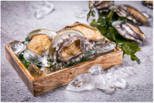 수산물 O2O 서비스 회이팅, 어업인 위한 노마진 착한 소비 프로젝트 실시