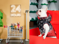 몽클레르, 몽클레르 & 폴도 도그 쿠튀르 론칭