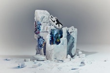 머스트잇 매거진 Ep21, 보자 보자 피스마이너스원 ‘어디 보자 평화 빼기 하나’