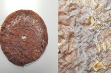땡큐케터링(주)동인섬유 | 집에서도 콤부茶로 직물 생산이 가능하다?
