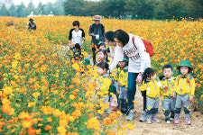 가을 나들이…꽃길 따라 걸으면 내가 꽃이 되어