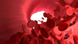 혈관 벽에 낀 기름, 먹어서 없앤다…고지혈증에 좋은 음식