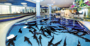 분위기·맛 좋아 찾는 평양대동강수산물식당